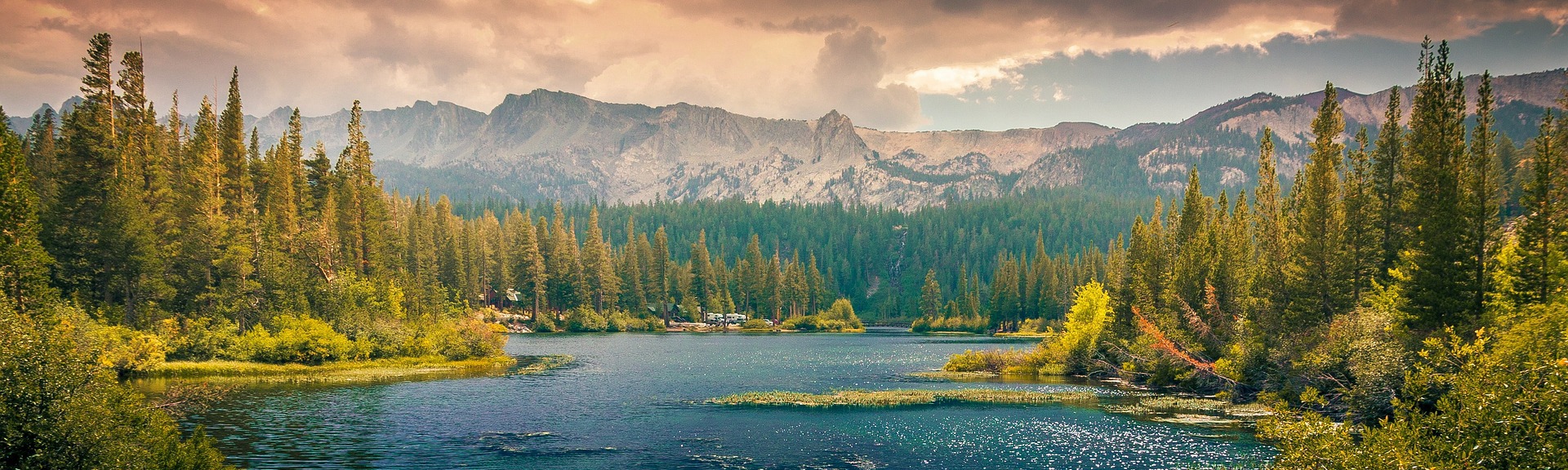 엑스포2020의 읽을수록 도움 되는 생활 인사이트